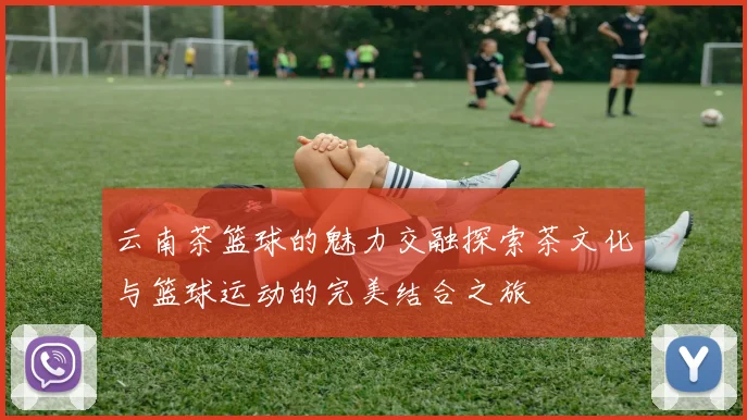 云南茶篮球的魅力交融探索茶文化与篮球运动的完美结合之旅