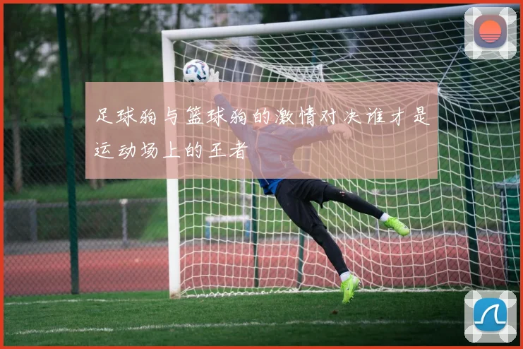 足球狗与篮球狗的激情对决谁才是运动场上的王者