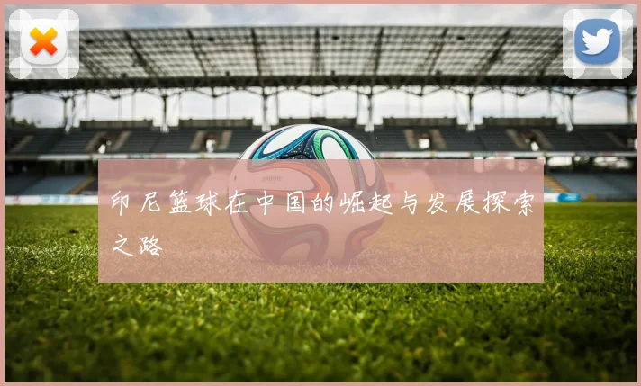 印尼篮球在中国的崛起与发展探索之路
